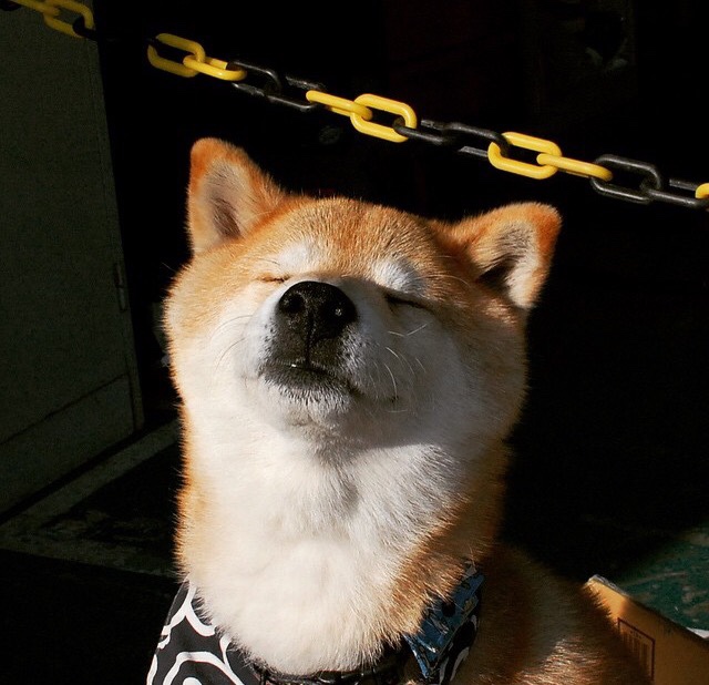 开云网页版-全民健身公共服务提质升级，满足群众多元需求，全民健身公共服务提质升级,满足群众多元需求