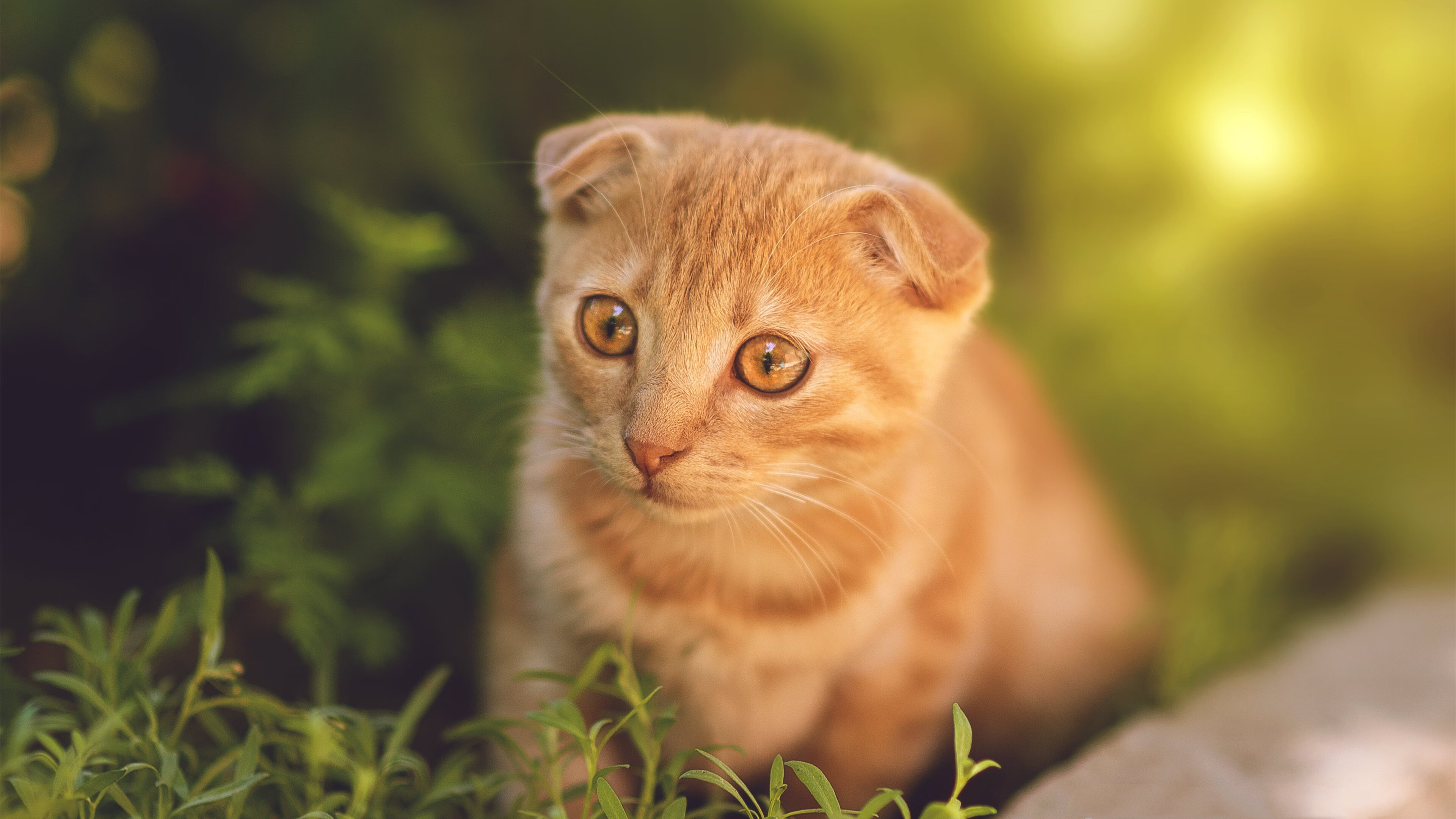 kaiyun官方入口登录-国家跳水队集训基地扩建，设施更加现代化，国家跳水队集训基地扩建,设施更加现代化了吗