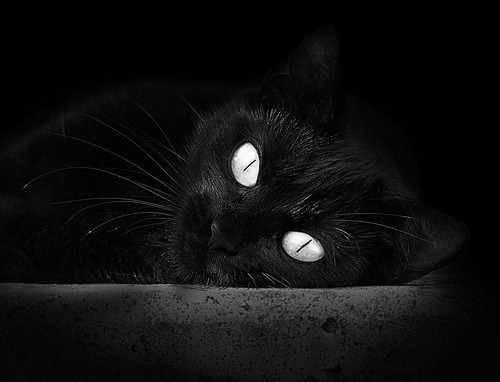 欧冠“银河战舰”:豪门群英逐鹿的顶级舞台,omg银河战舰