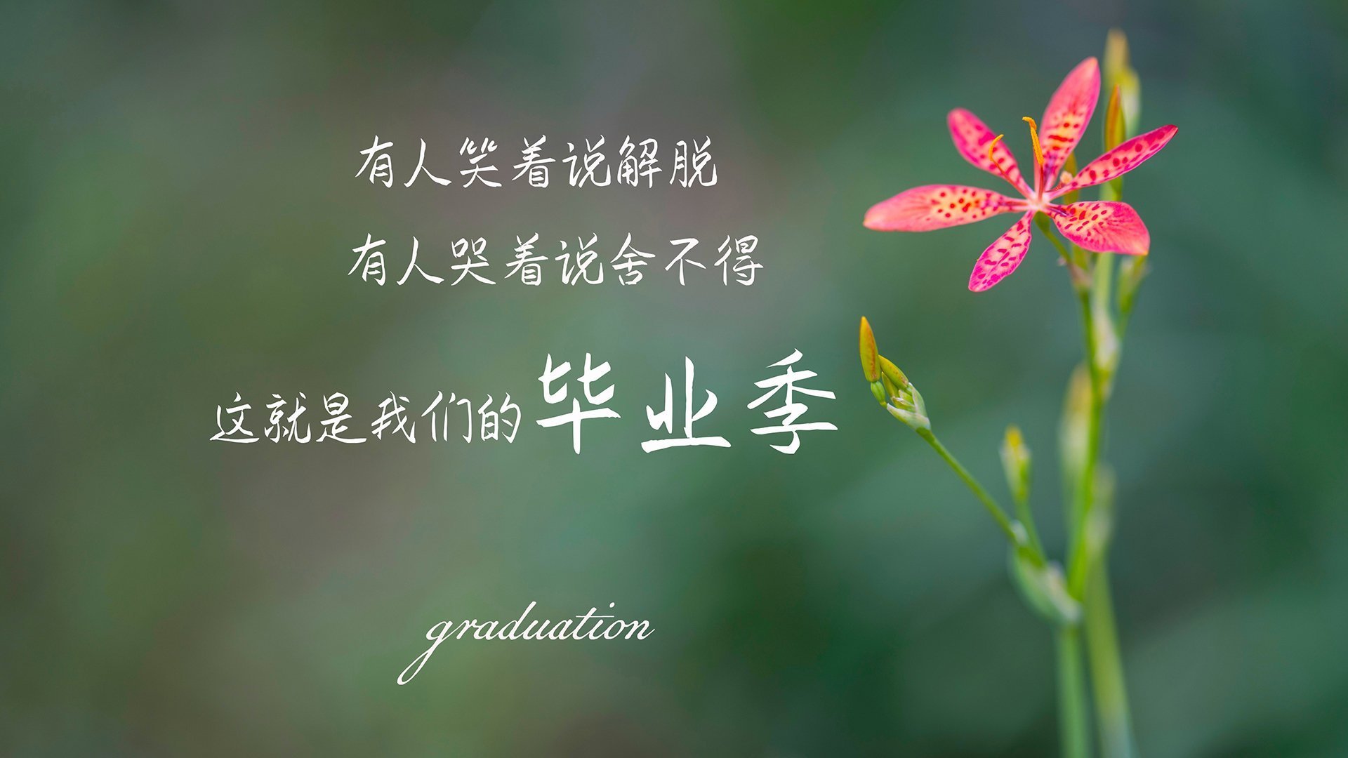 果园采摘运动会，结合采摘乐趣的休闲运动，果园采摘宣传文案