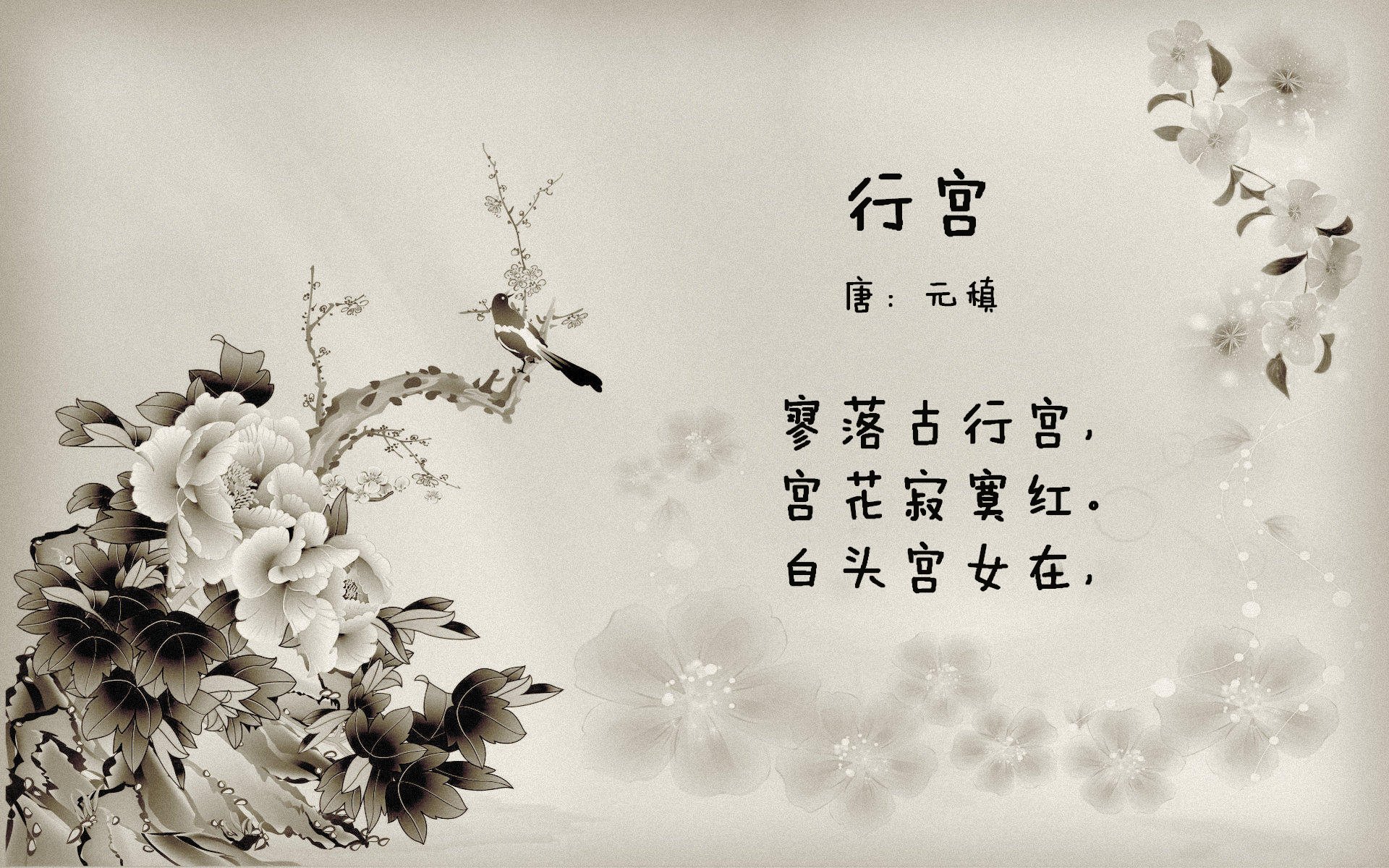 李明全场全面表现，砍下30+，成为本场MVP！，李明集锦