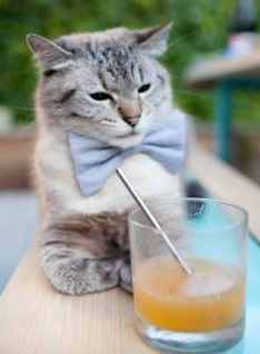 kaiyun.com-炉石传说“策略王者”全国大赛激战正酣，炉石传说线上比赛2021