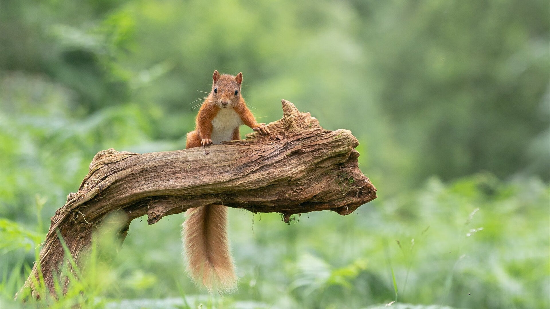 kaiyun网站-电竞培训机构获资本青睐，行业盈利能力上升，电竞培训机构行业的利弊