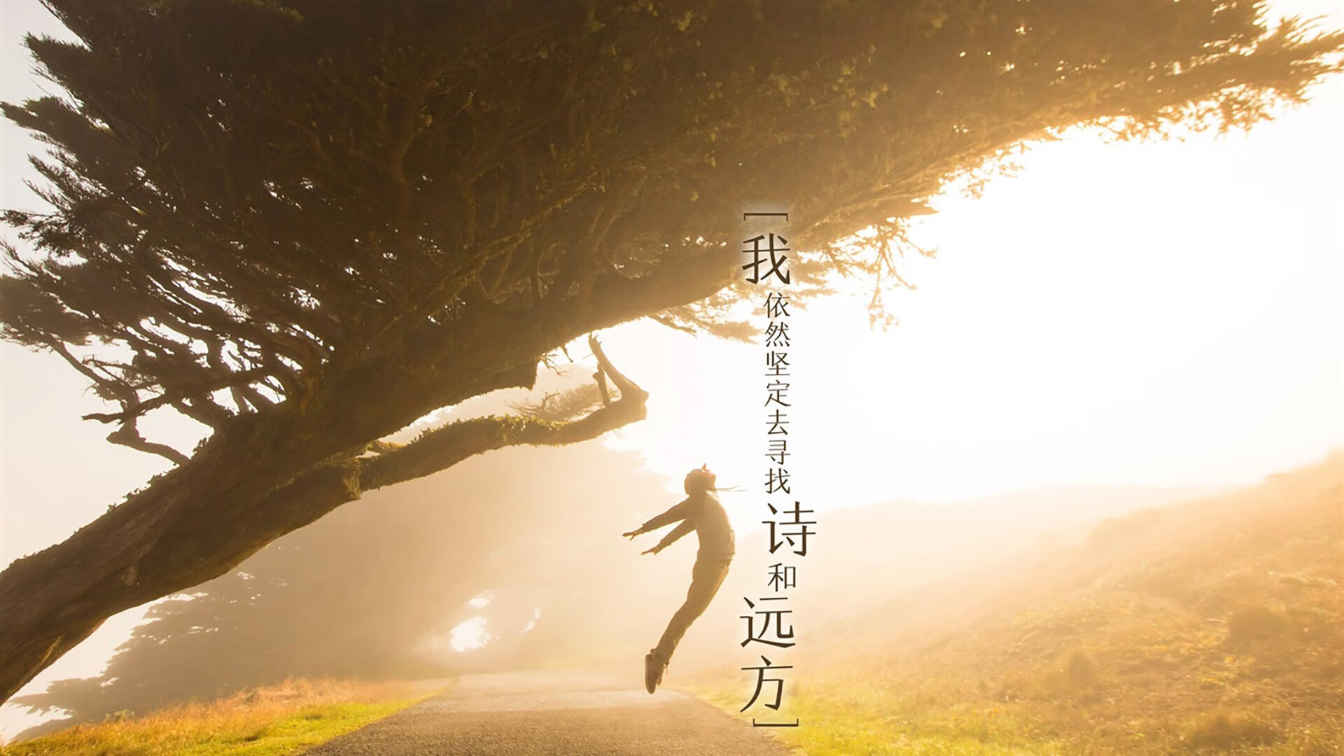 kaiyun官方网站-大连人连续多场不败，大连人连续多场不败比赛