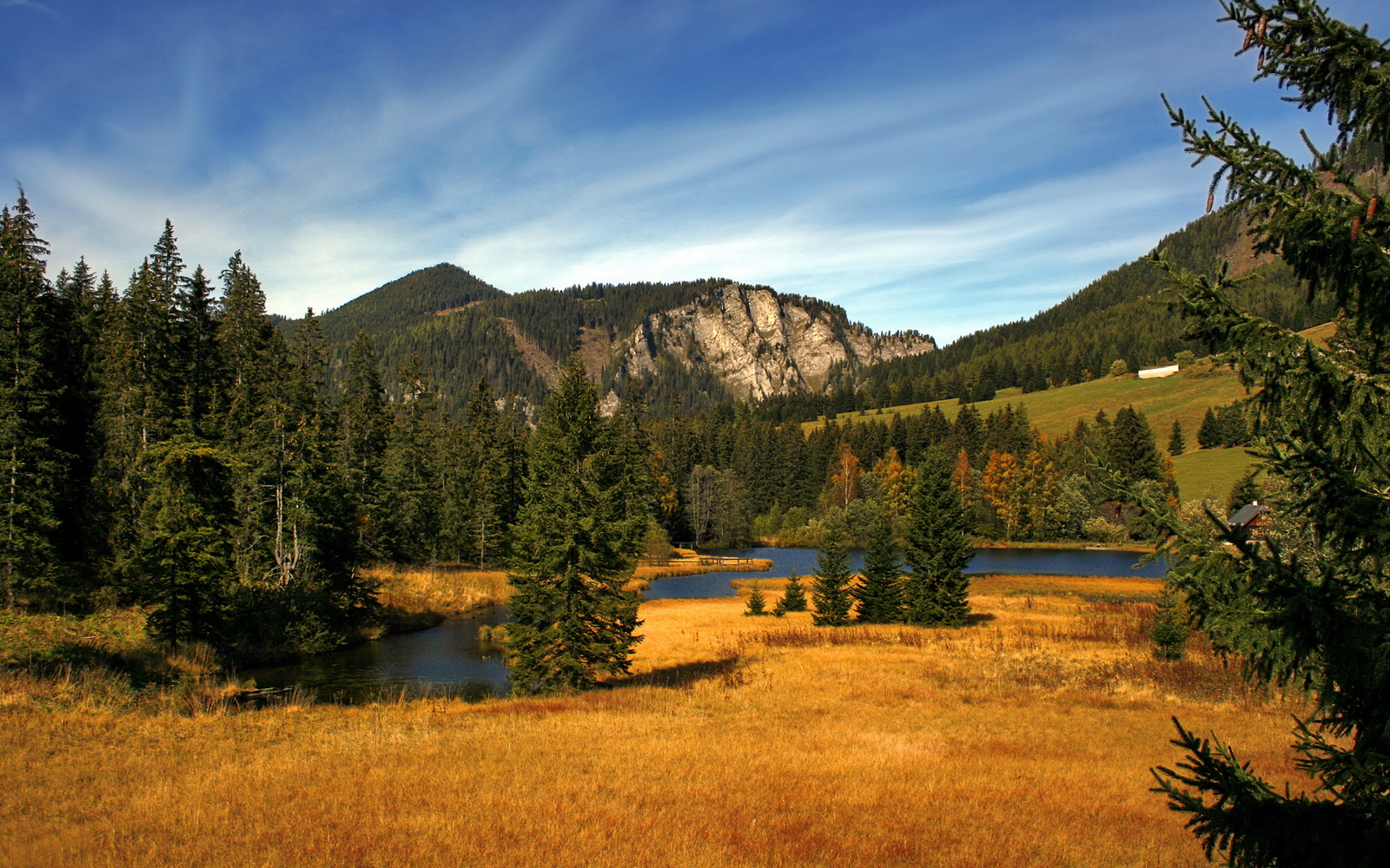 柏林赫塔对决霍芬海姆,德甲争霸之路,柏林赫塔比赛