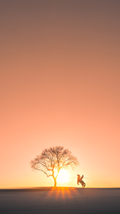 球队凭借个人能力取胜,四核心展现无敌,足球球队核心