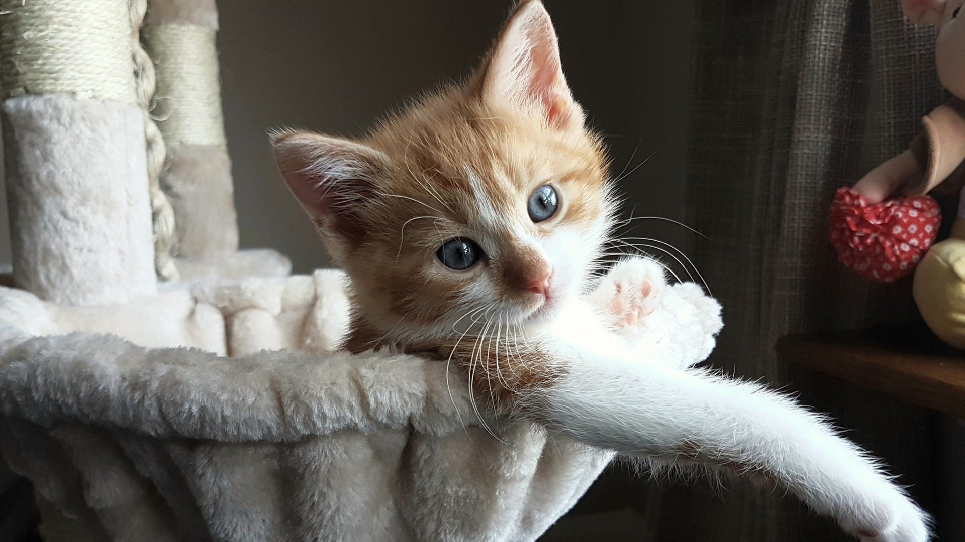 开云kaiyun-英格兰反曲弓队在2024年欧洲大奖赛中获得两枚银牌，反曲弓世界排名