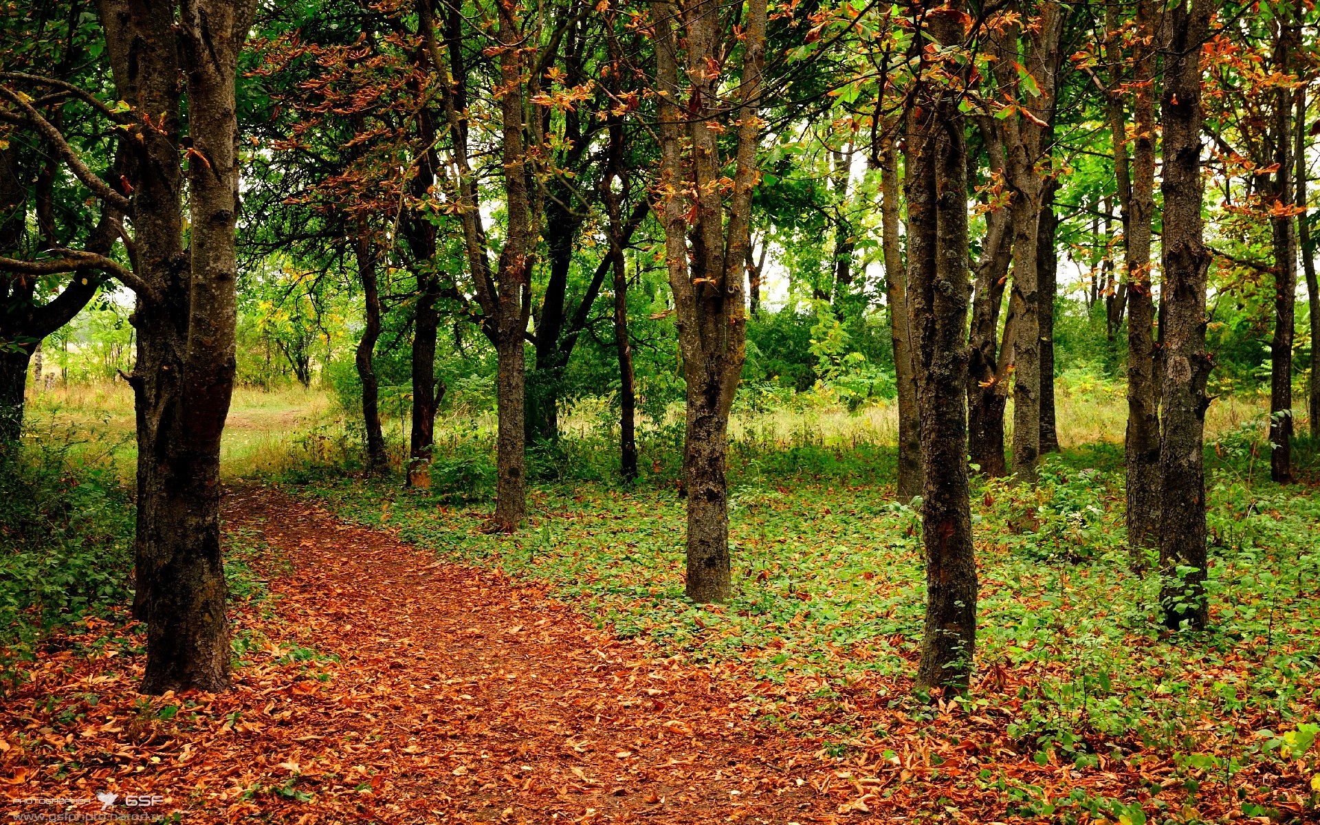 kaiyun中国官方网站-韩国射击队新秀破纪录夺冠，韩国射击运动
