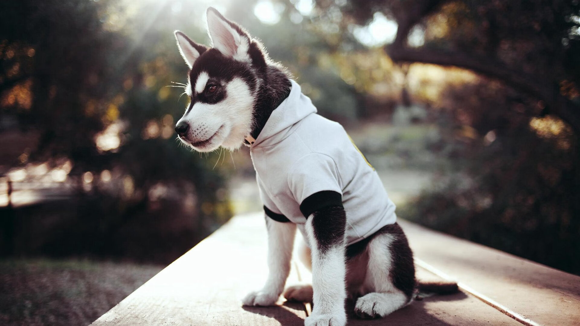 Kaiyun APP-英超球队通过战术疲劳评分系统调整比赛节奏控制策略，英超赛后球员评分网站