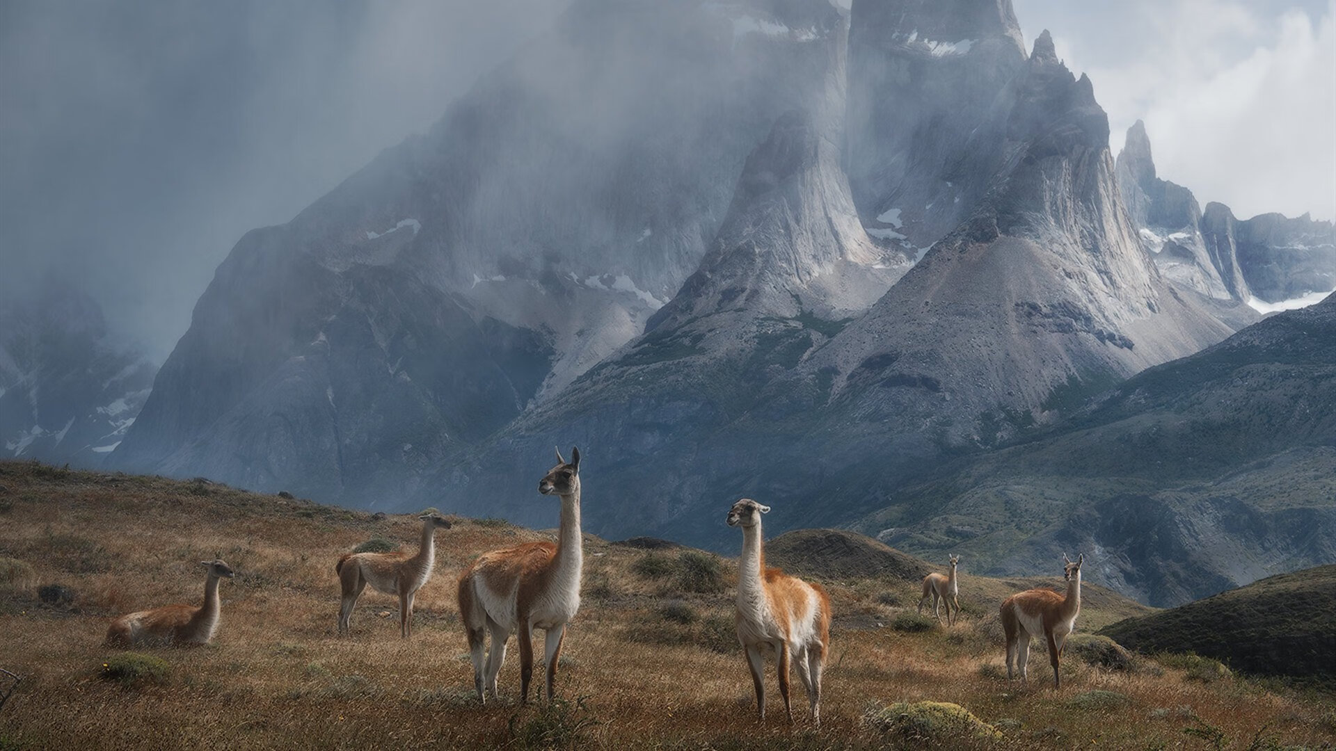 赫罗纳反击效率大幅提升压迫力十足,赫罗纳vs阿尔梅预测