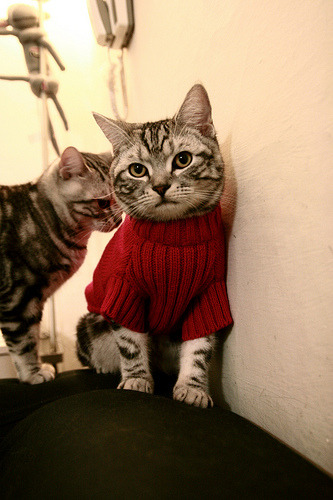 开云入口-中国篮球品牌联名款球鞋发售引发市场热议与粉丝追捧，中国的篮球鞋品牌