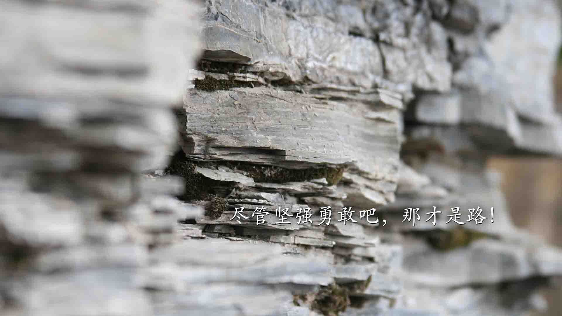 开云入口-克洛普不断突破创新，带队冲击历史高峰