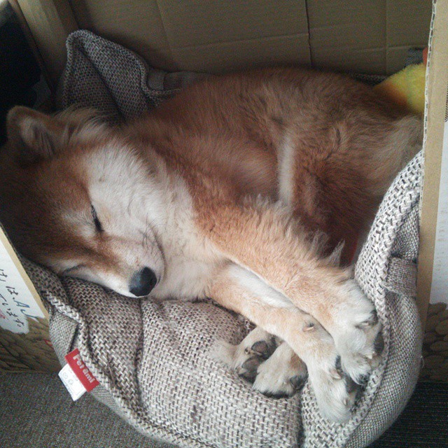 热刺力克对手,孙兴慜获全场最佳