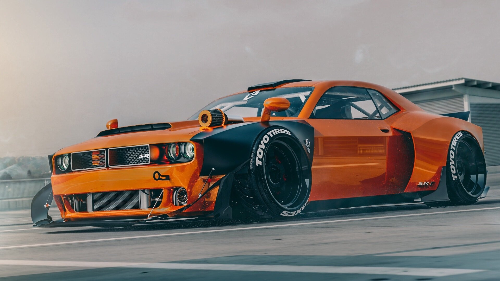 开云官方-自由泳长距离荷兰展现耐力优势，自由泳比赛距离