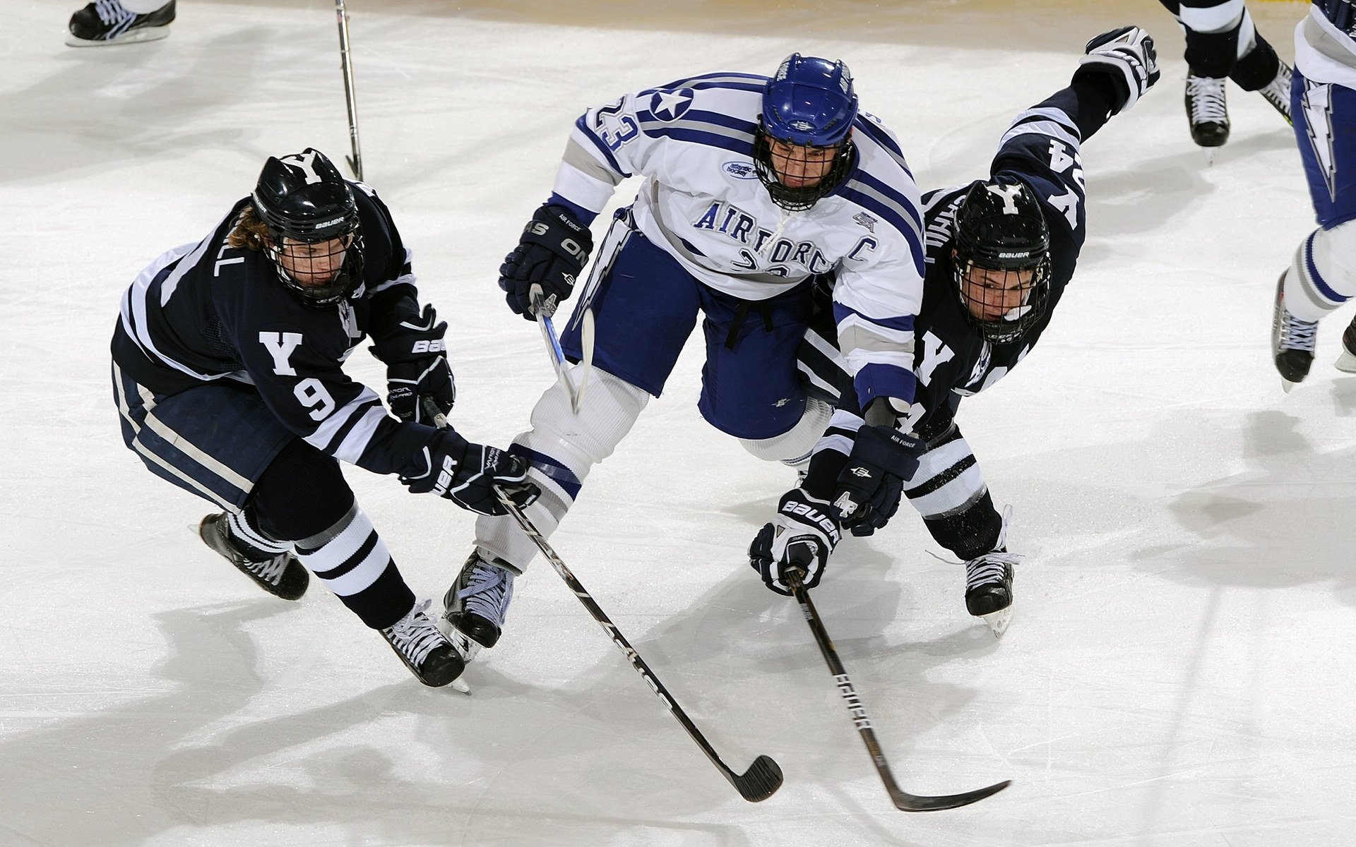 _花式篮球表演赛：运动之美无限延伸_，篮球花样表演